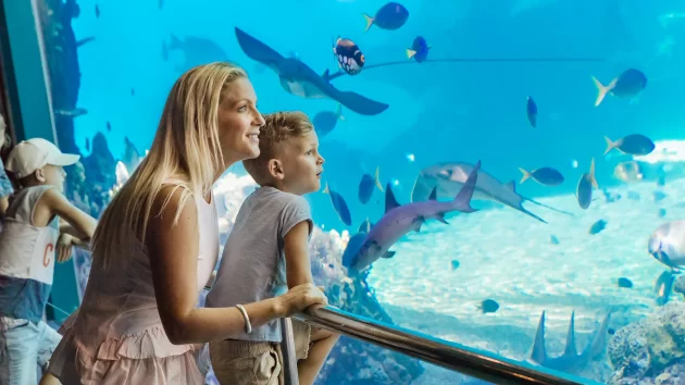 Sea World