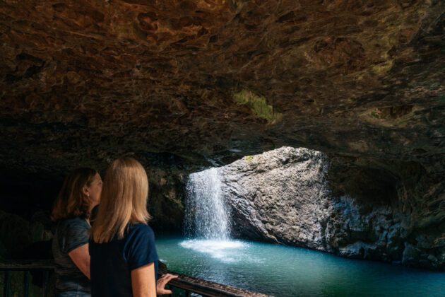Springbrook National Park