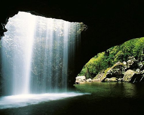 Springbrook National Park