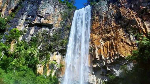 Springbrook National Park