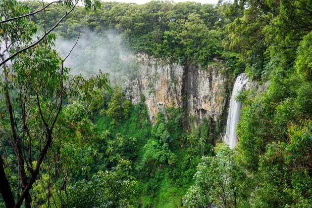 Springbrook National Park