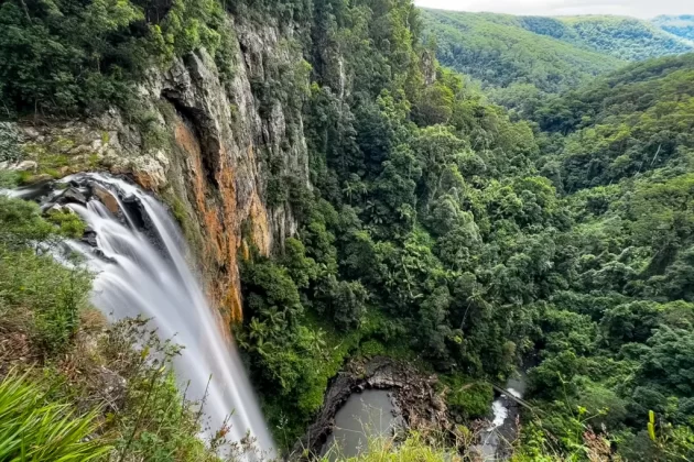 Springbrook National Park