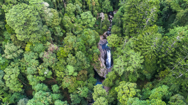 Springbrook National Park