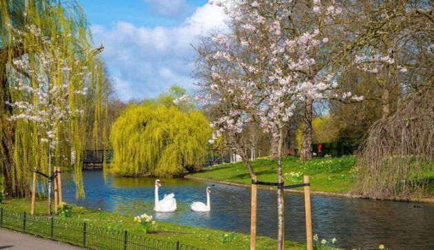The Regent's Park