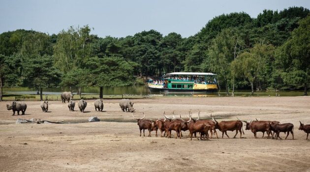 Beekse Bergen