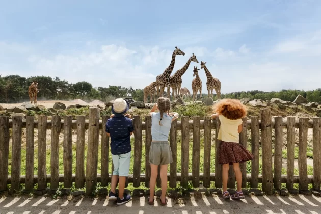 Beekse Bergen