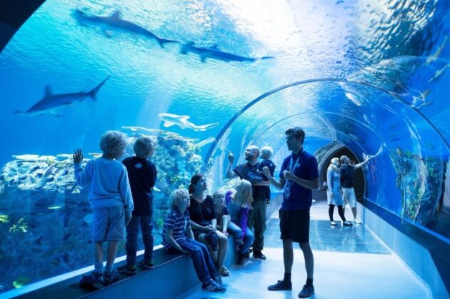 Bergen Aquarium