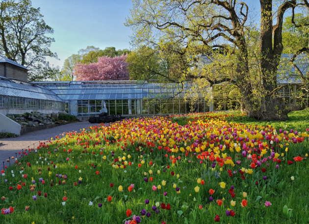 Botanical Garden