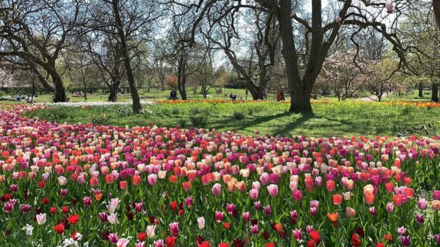 Botanical Garden
