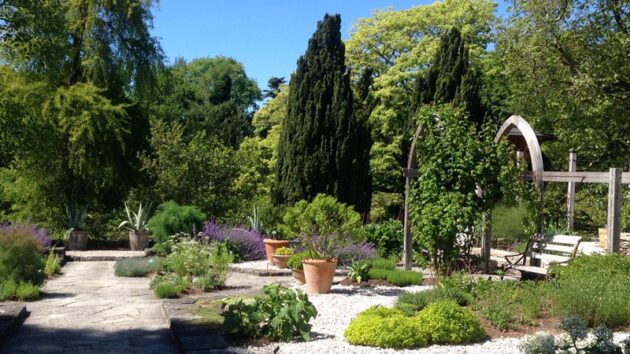 Botaniska Trädgården