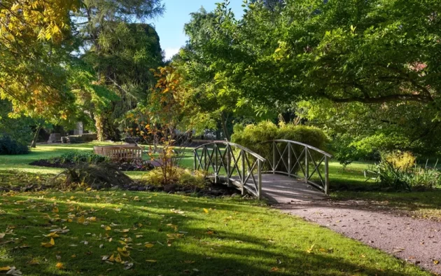 Botaniska Trädgården