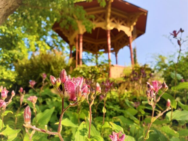 Botaniska Trädgården