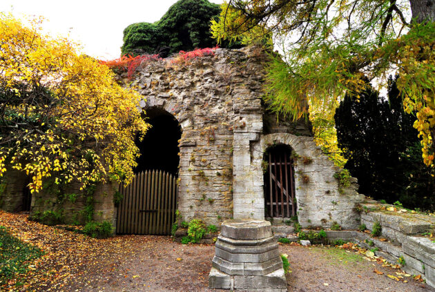 Botaniska Trädgården