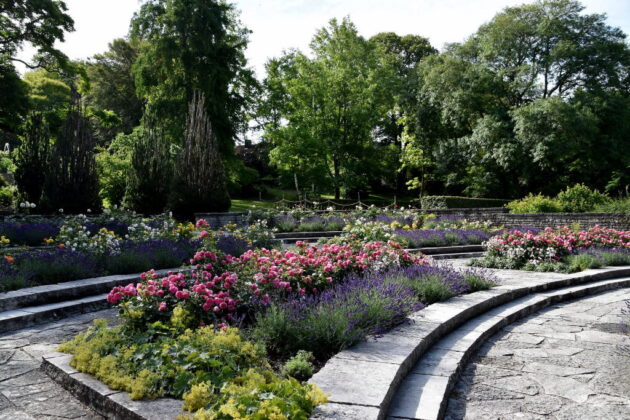 Botaniska Trädgården