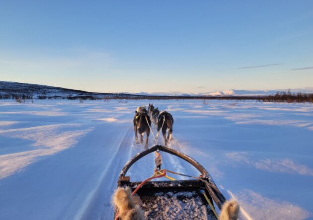Dogsled