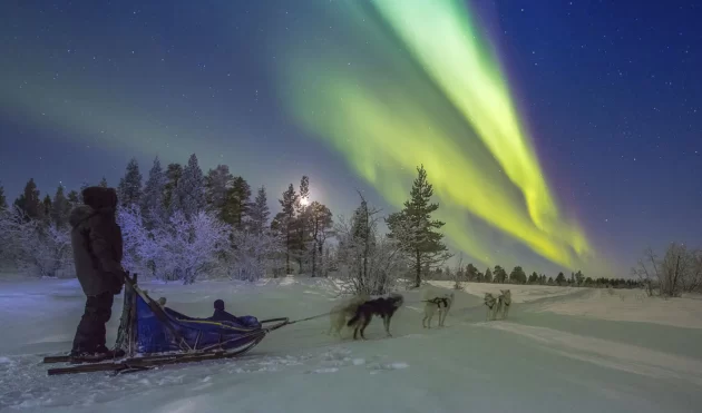 Dogsled
