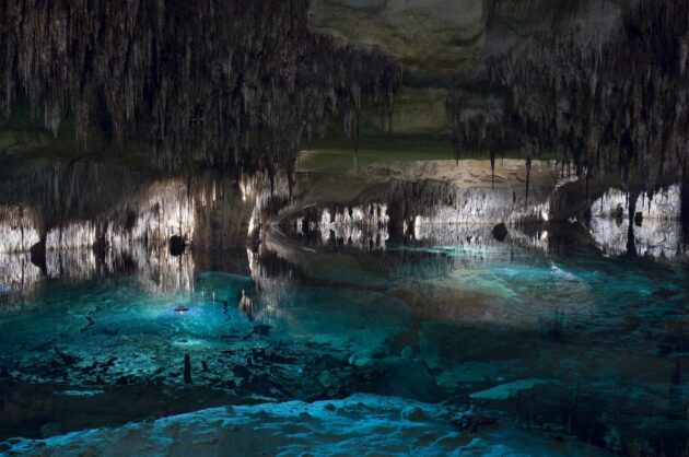 Coves del Drach