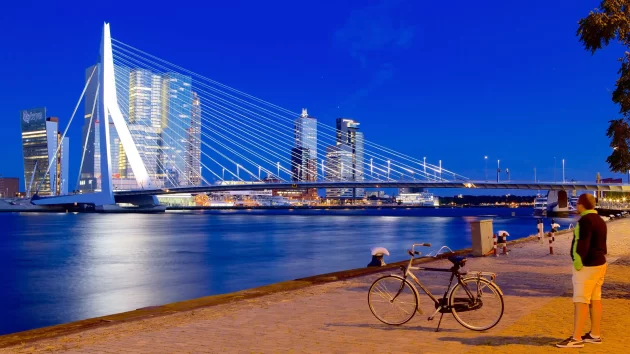 Erasmus Bridge