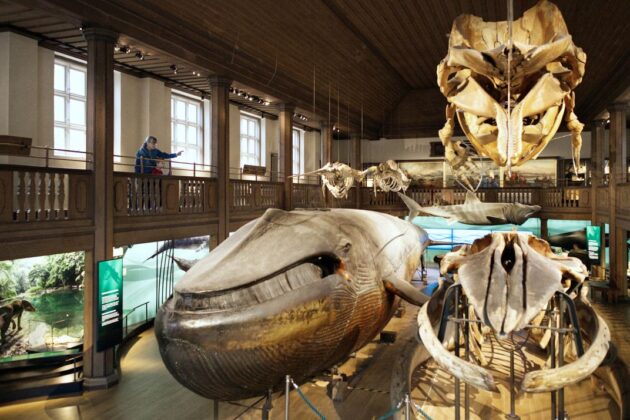Gothenburg Museum of Natural History