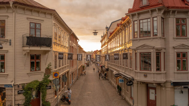 Haga District