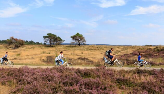 Het Nationale Park De Hoge Veluwe
