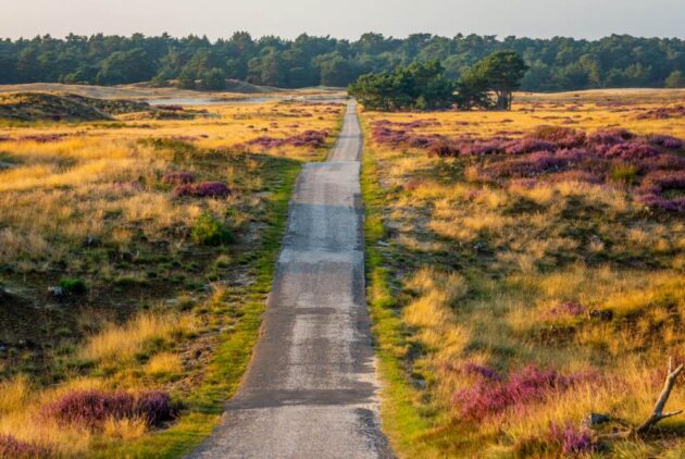 Het Nationale Park De Hoge Veluwe