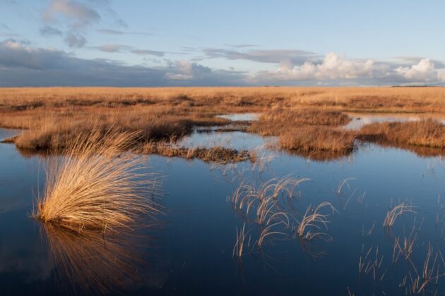 Het Nationale Park De Hoge Veluwe