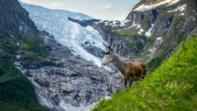 Jostedalsbreen National Park