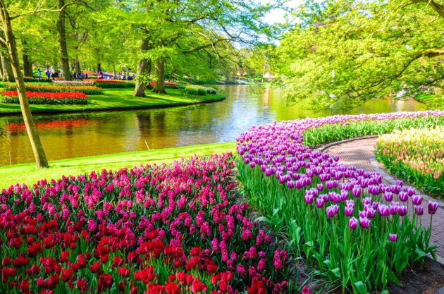 Keukenhof