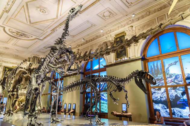 Museum of Natural History Vienna