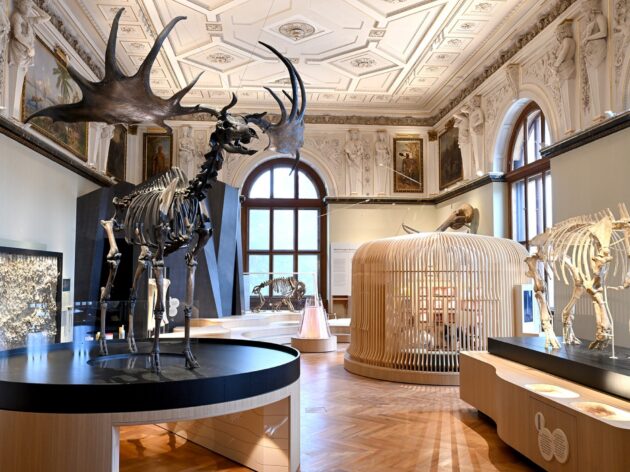 Museum of Natural History Vienna