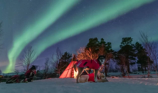 Northern Lights at Abisko National Park