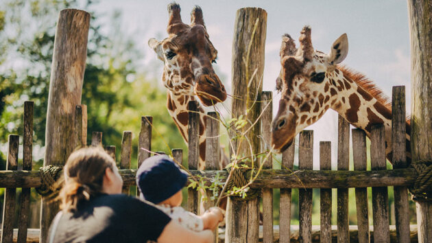Odense Zoo