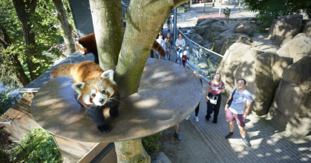 Odense Zoo