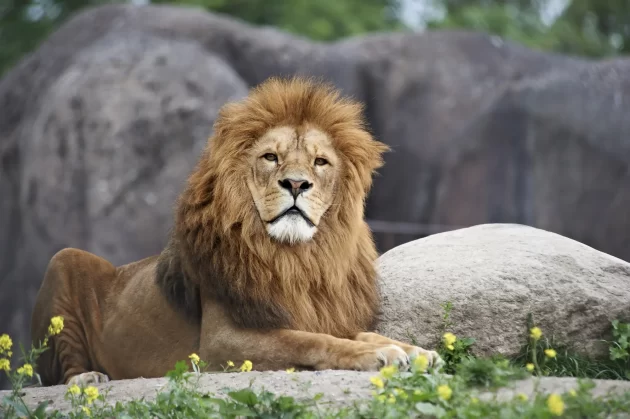 Odense Zoo