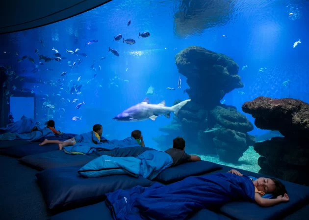 Palma Aquarium