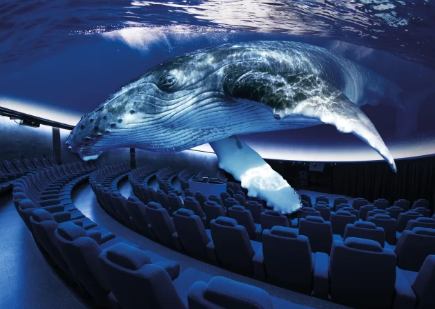 Palma Aquarium