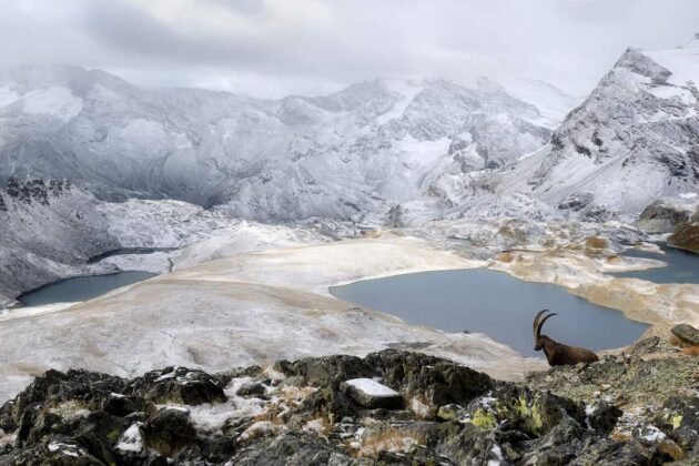 Parco Nazionale Gran Paradiso