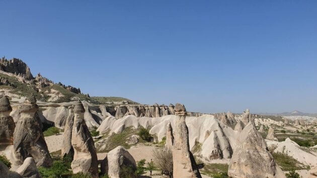 Paşabağları Müze ve Örenyeri