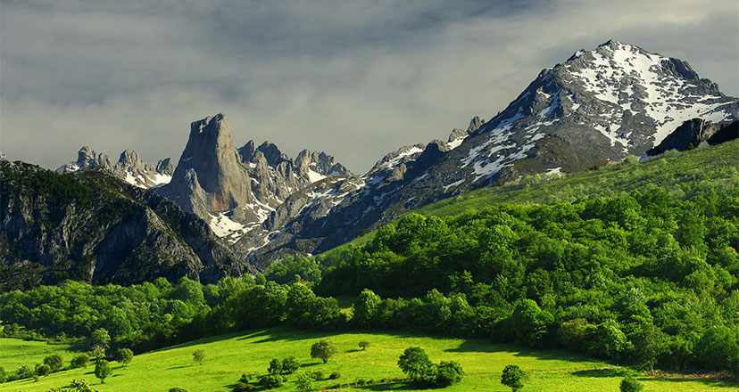 Picos de Europa National Park