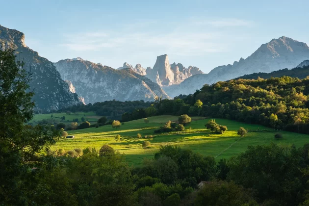 Picos de Europa National Park