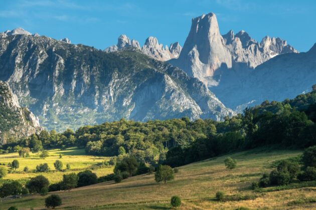 Picos de Europa National Park
