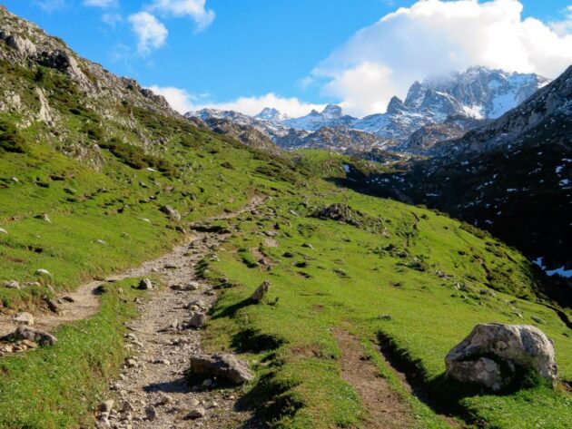 Picos de Europa National Park