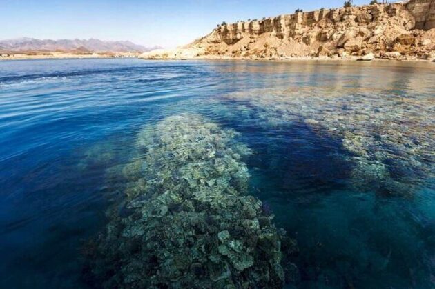 Ras Mohammed National Park