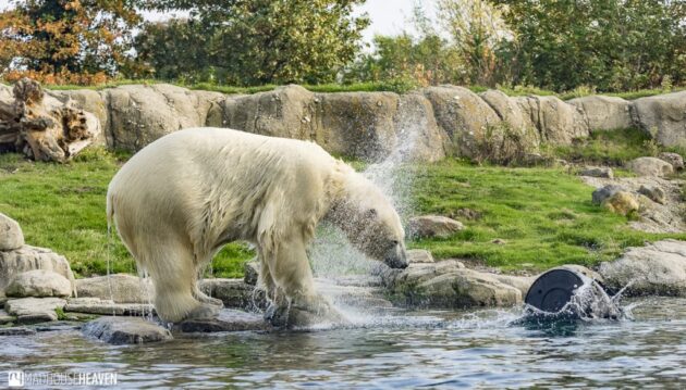 Rotterdam Zoo