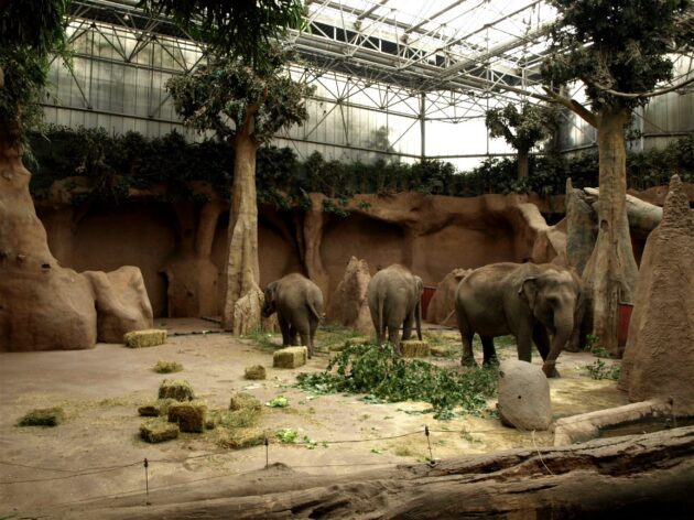 Rotterdam Zoo