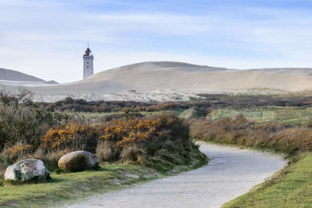 Rubjerg Knude