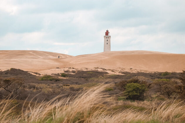 Rubjerg Knude