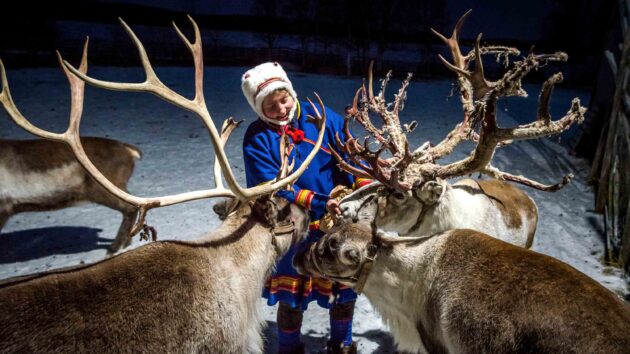 Sami Culture and Reindeer Herding