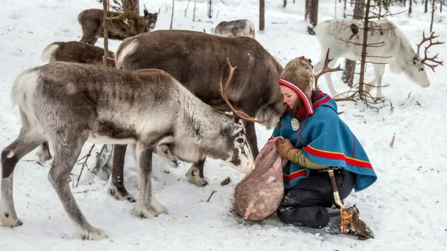 Sami Culture and Reindeer Herding